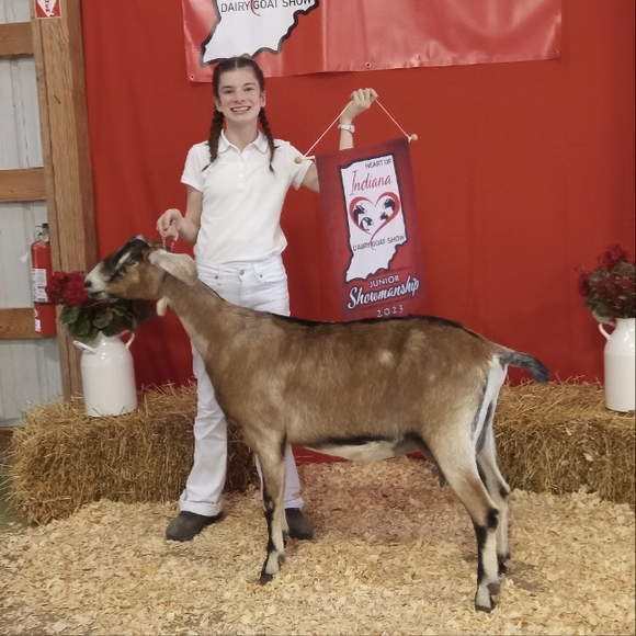 Meet your Posher, Evie - Picture 3 of 13